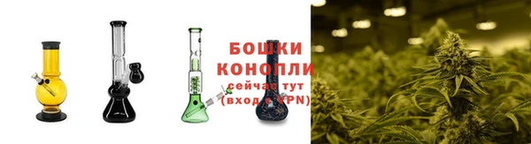 ГАЛЛЮЦИНОГЕННЫЕ ГРИБЫ Кулебаки