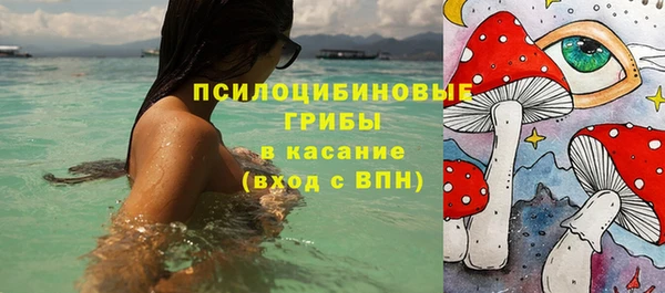 ГАЛЛЮЦИНОГЕННЫЕ ГРИБЫ Кулебаки