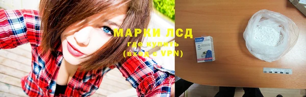 ГАЛЛЮЦИНОГЕННЫЕ ГРИБЫ Кулебаки