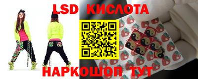 спайс Гусев