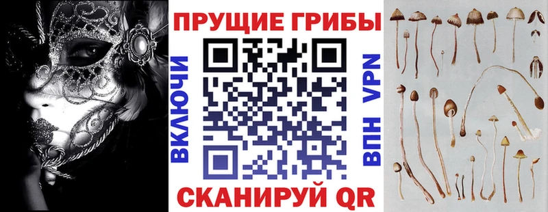 Галлюциногенные грибы Cubensis  дарк нет официальный сайт  Оренбург  купить  